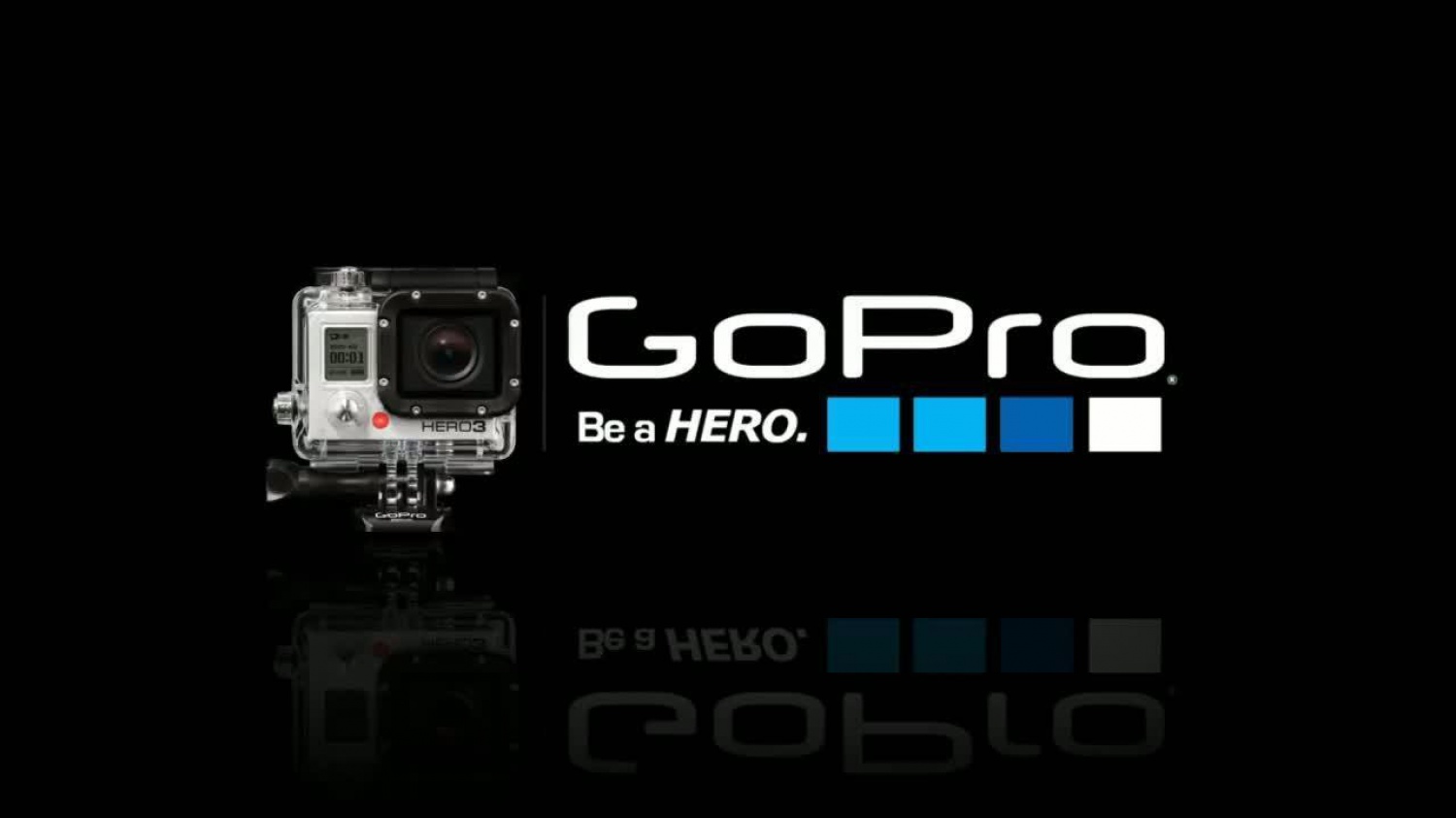 Go Pro