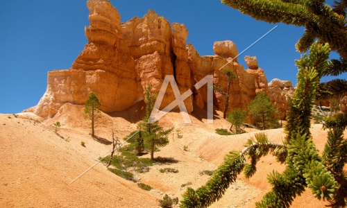 Bryce Canyon National Park