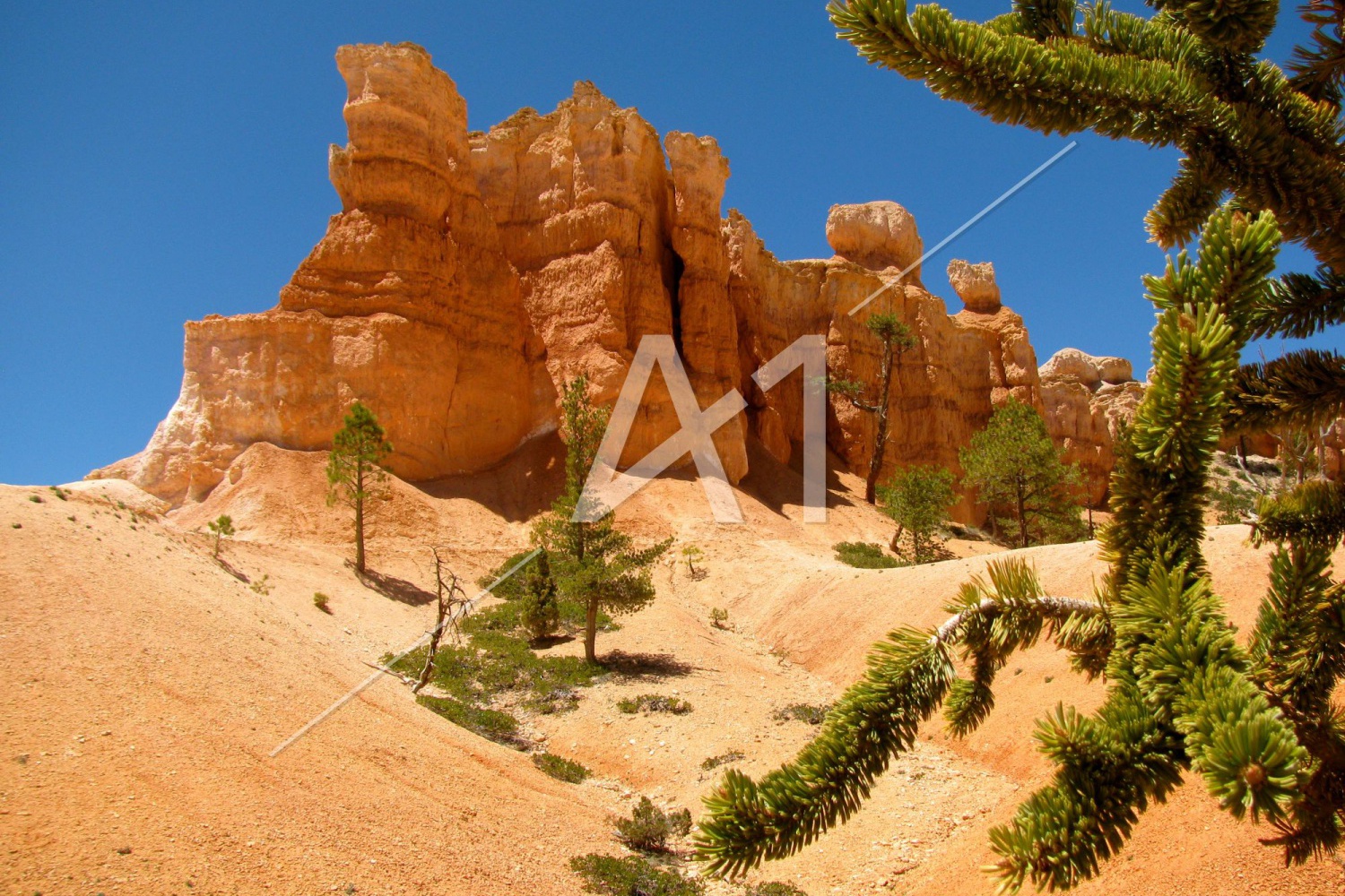Parc national de Bryce Canyon - Utah - États Unis